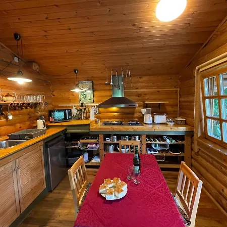 Birdieferienhaus By Interhome Leisel