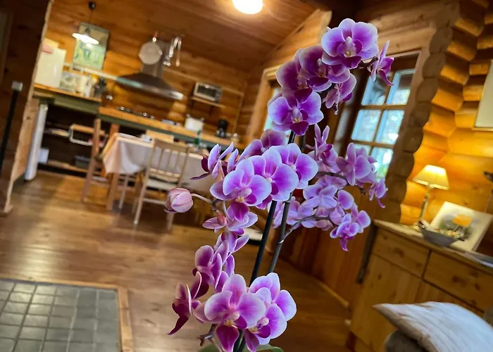 Birdieferienhaus By Interhome Chalet Leisel